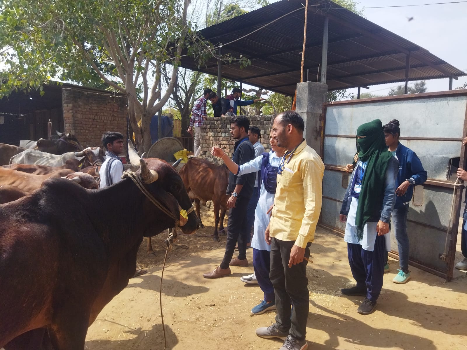 श्री जयरामपुरी गौशाला, जयपुर ग्रामीण 